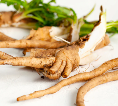 Chicory Root Inulin – SlimTide prebiotic ingredient