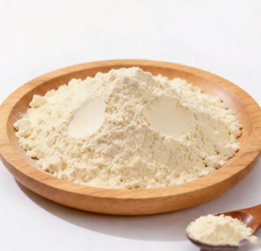 Probiotic Blend – SlimTide probiotic strains for gut health